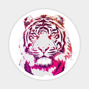 Cool Pink and Orange Sunset White Tiger Magnet